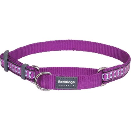 RED DINGO Martingale Dog Collar Reflective Purple, Small RE437159